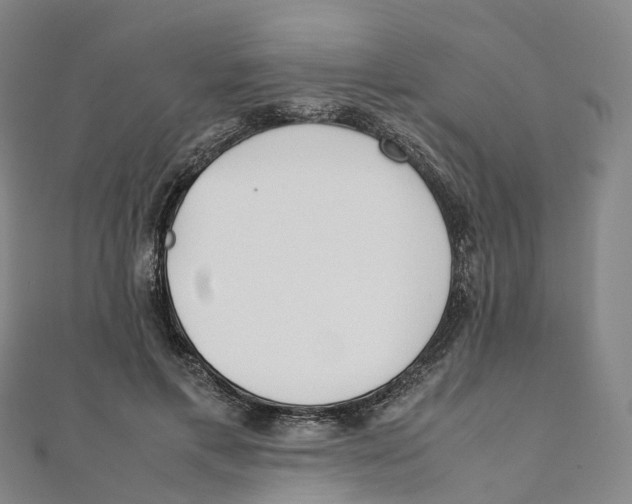 X0000111430597200908101117