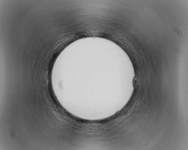 X0000111430599200908101117