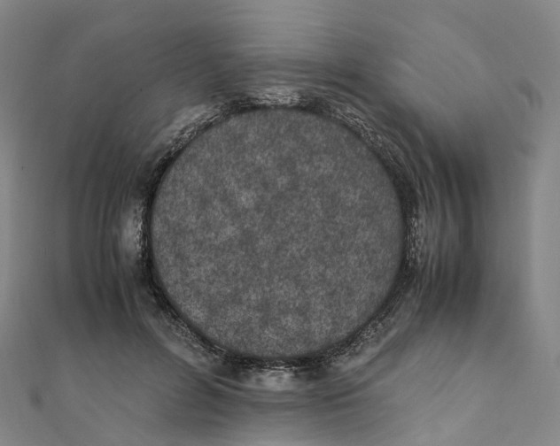 X0000111430600200908101117