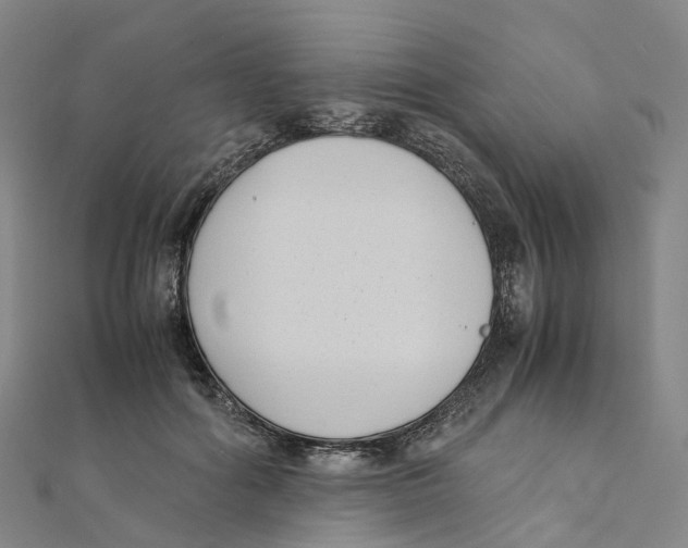 X0000111430602200908101117