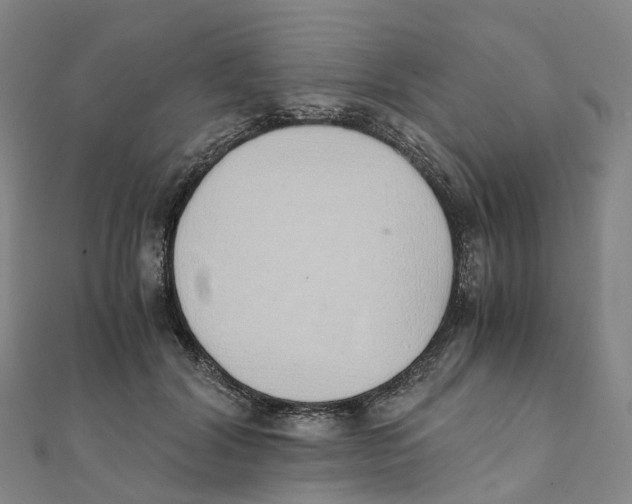 X0000111430604200908101117