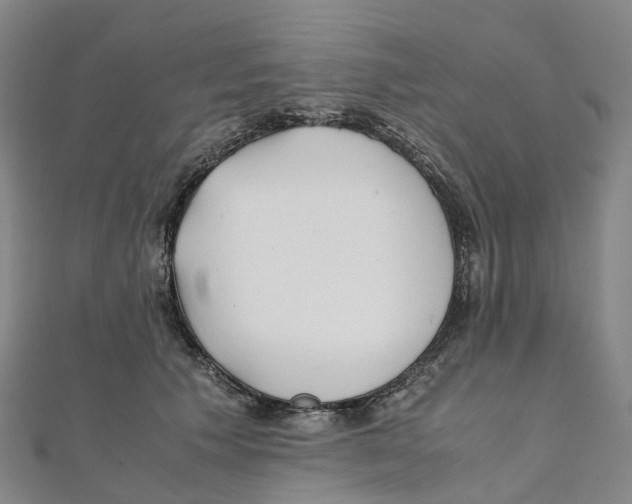 X0000111430609200908101117