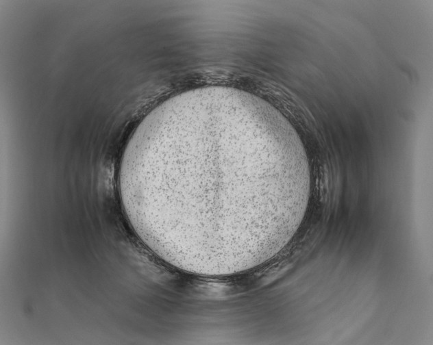 X0000111430610200908101117