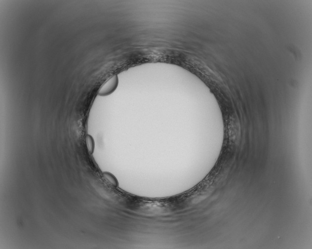 X0000111430611200908101117