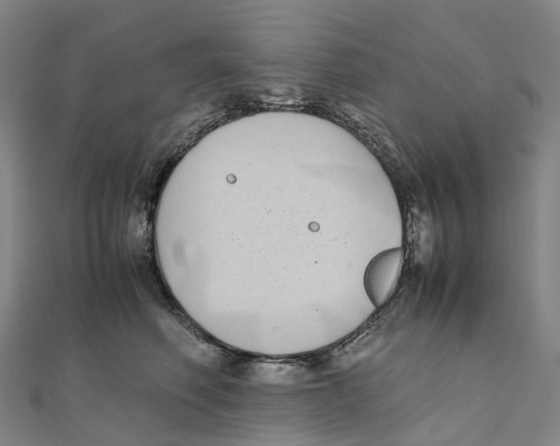 X0000111430614200908101117