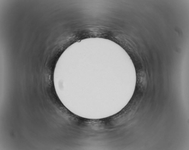 X0000111430615200908101117