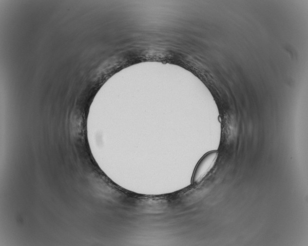X0000111430619200908101117