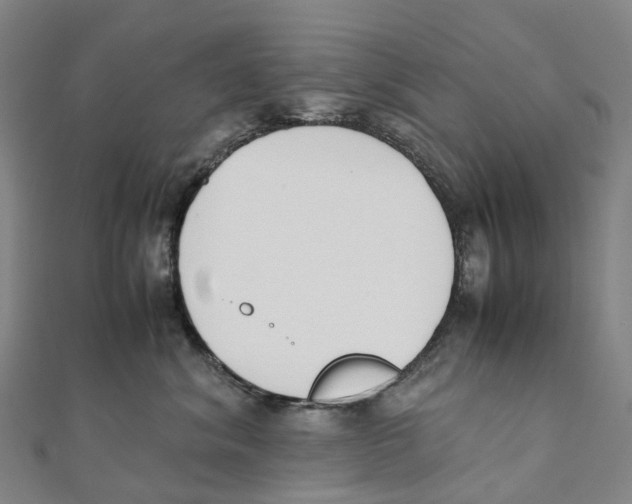 X0000111430620200908101117
