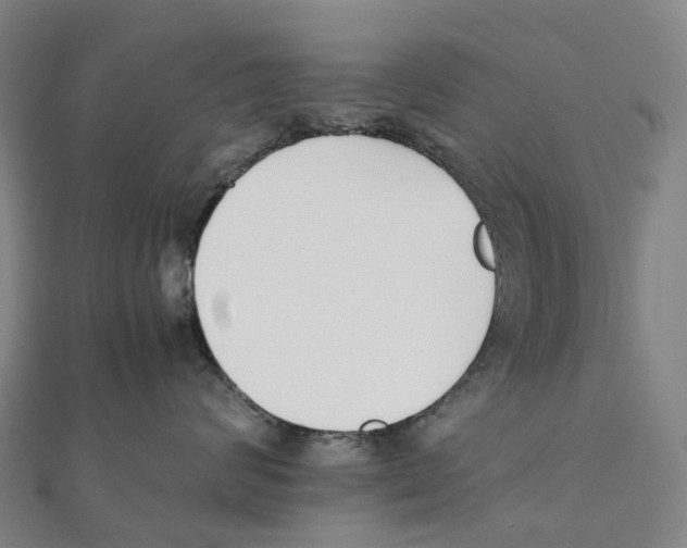 X0000111430624200908101117