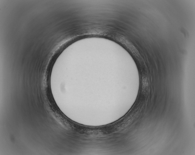X0000111430628200908101116