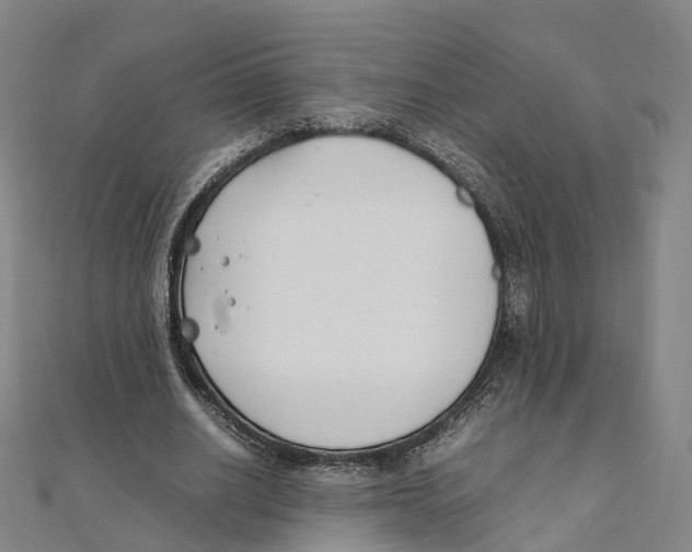 X0000111430630200908101116
