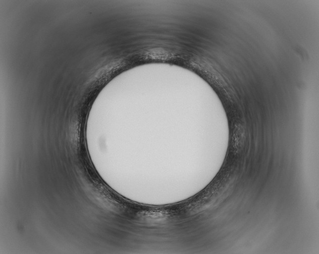 X0000111430639200908101117
