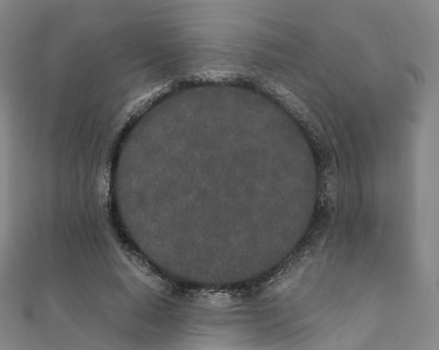 X0000111430640200908101117