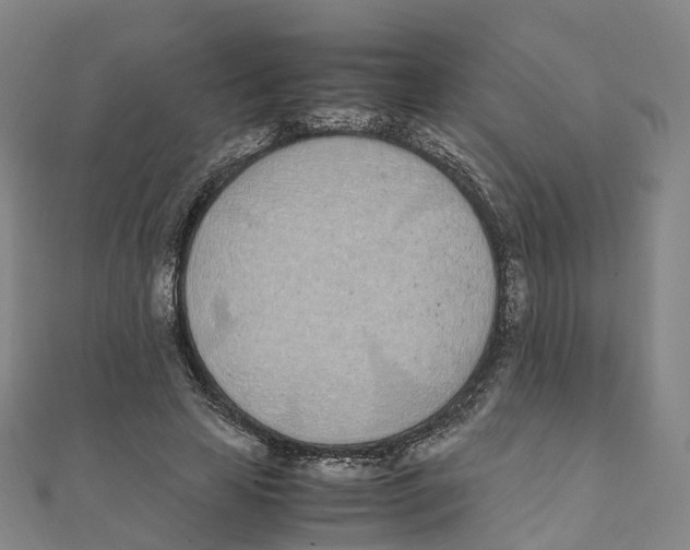 X0000111430641200908101117