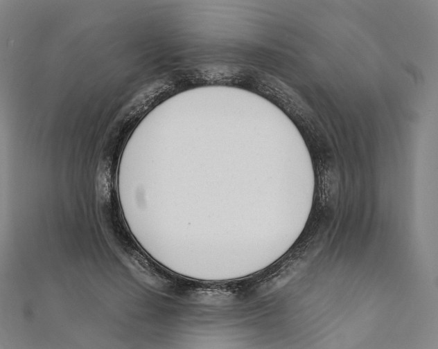 X0000111430644200908101117
