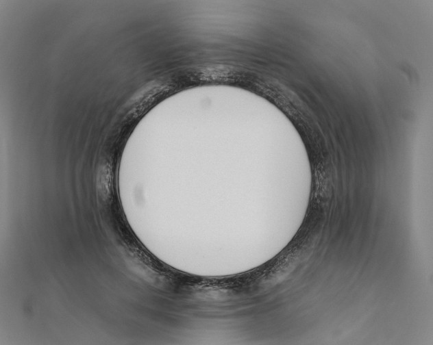 X0000111430648200908101117