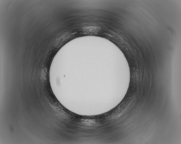 X0000111430649200908101117