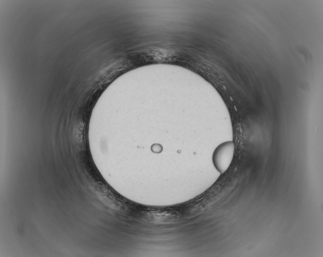 X0000111430650200908101117