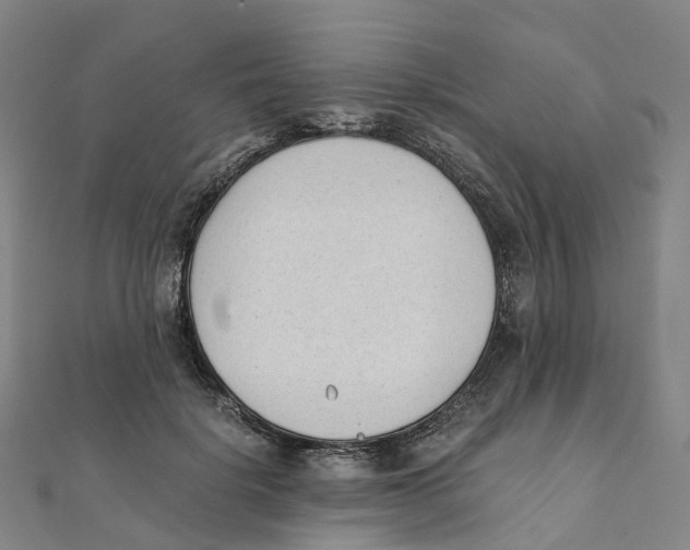 X0000111430652200908101117
