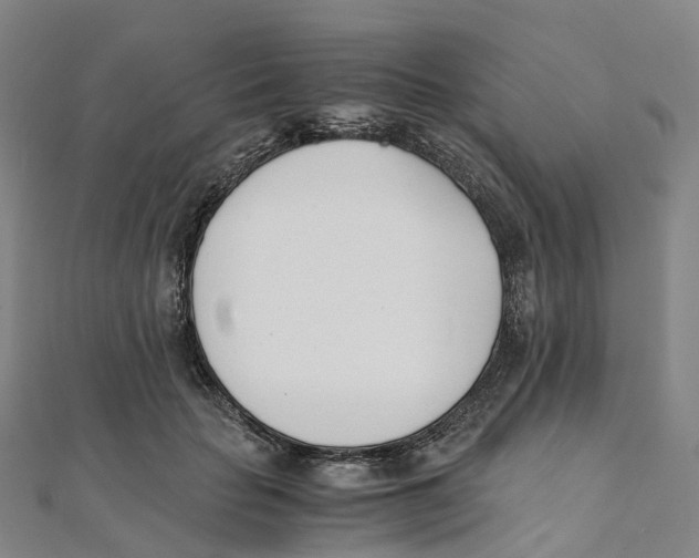 X0000111430653200908101117