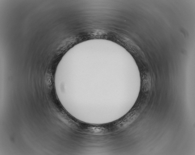X0000111430654200908101117