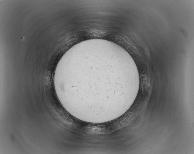 X0000111430655200908101117