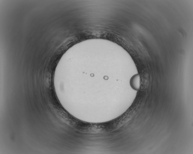 X0000111430656200908101117