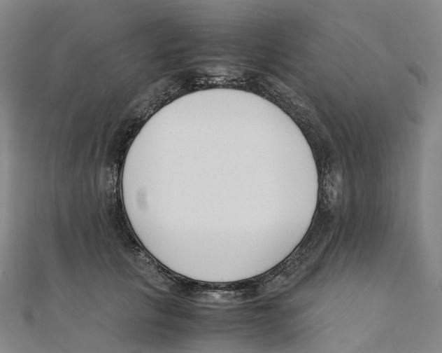 X0000111430657200908101117