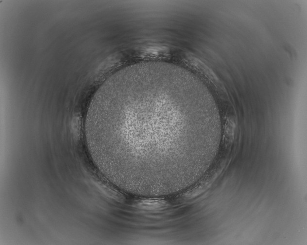 X0000111430659200908101117