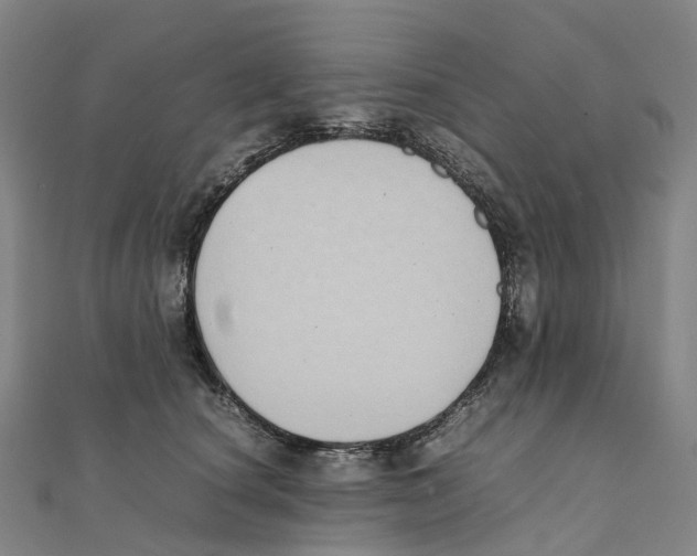 X0000111430660200908101117