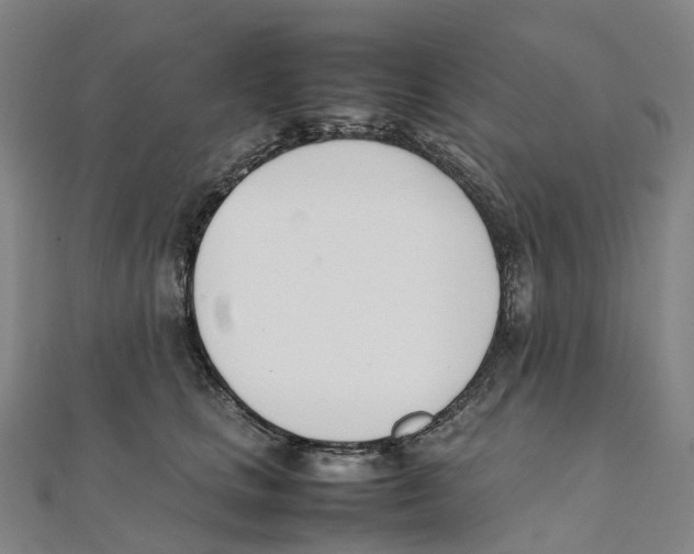 X0000111430661200908101117