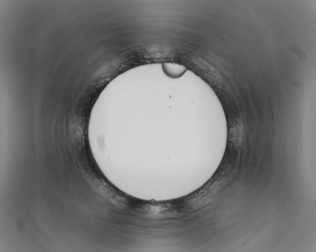 X0000111430662200908101117