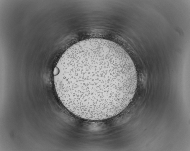 X0000111430663200908101117