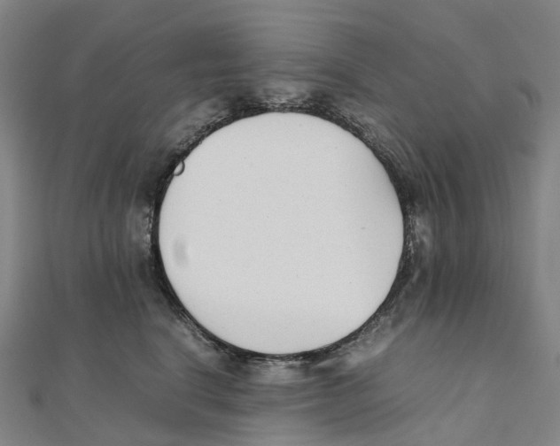 X0000111430664200908101117