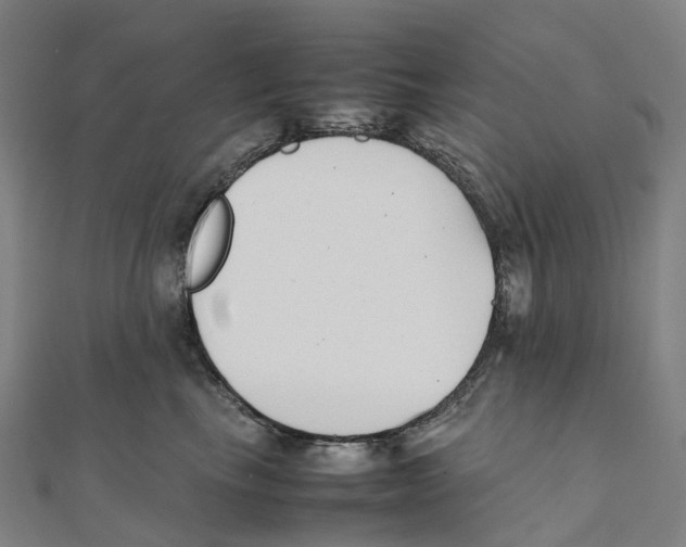X0000111430665200908101117