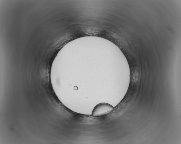 X0000111430666200908101117