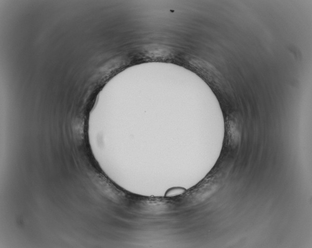 X0000111430668200908101117