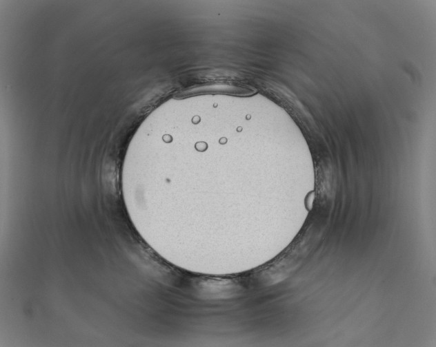 X0000111430669200908101117