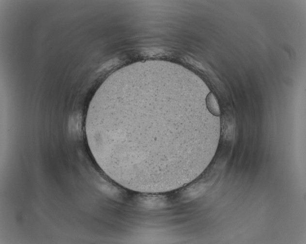 X0000111430670200908101117
