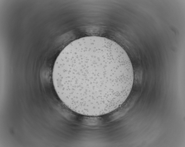 X0000111430671200908101117