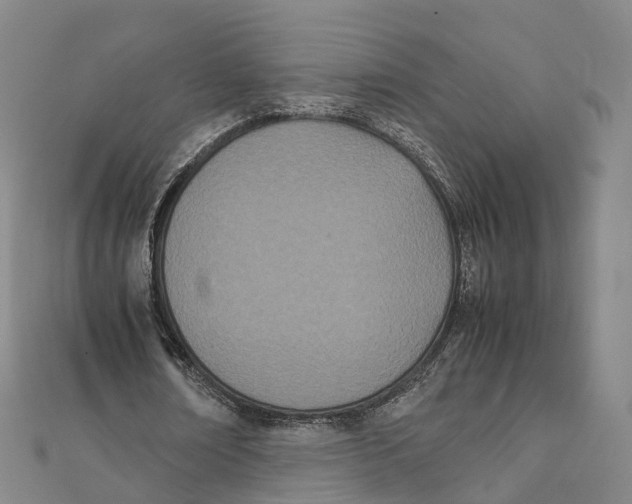 X0000111430674200908101116