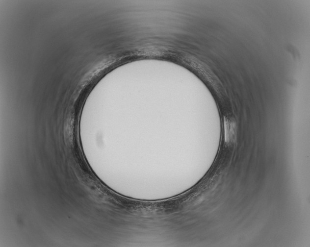 X0000111430675200908101116