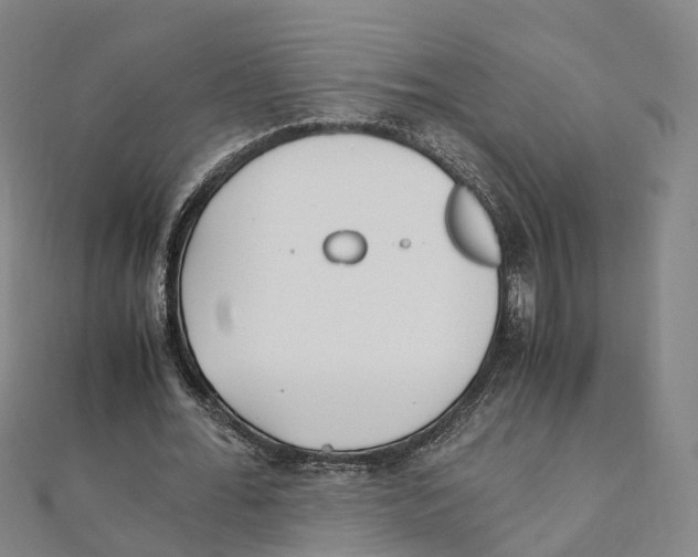 X0000111430676200908101116