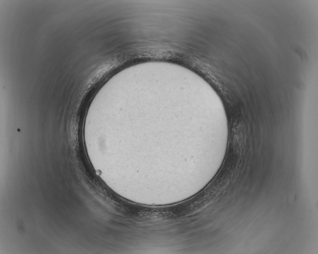 X0000111430679200908101116