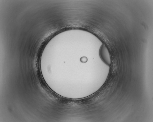 X0000111430680200908101116