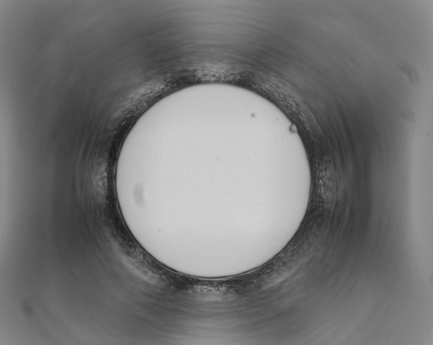 X0000111430690200908101116