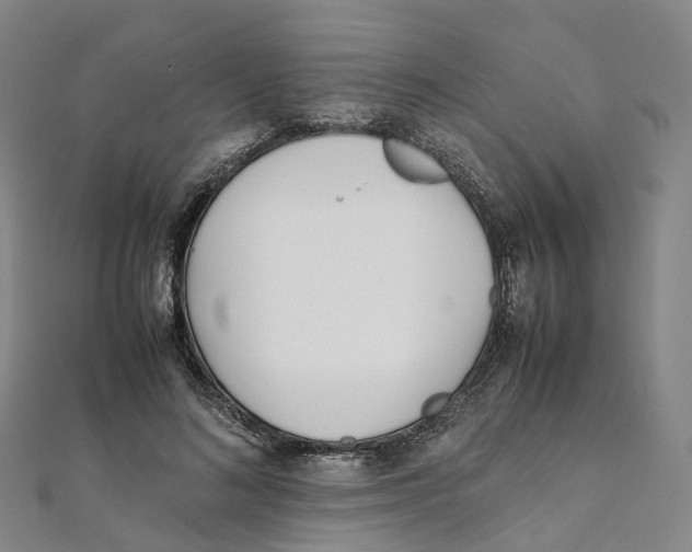 X0000111430692200908101116