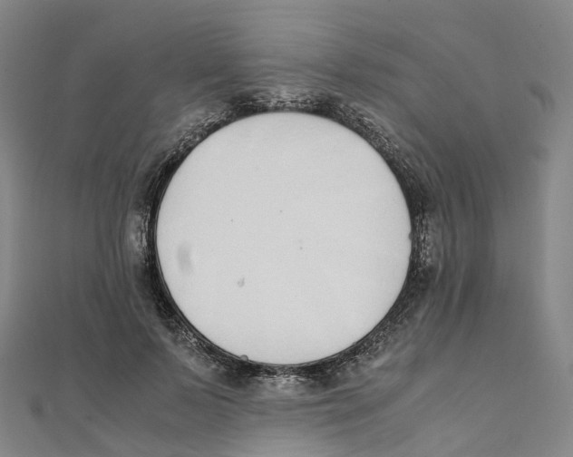 X0000111430695200908101116