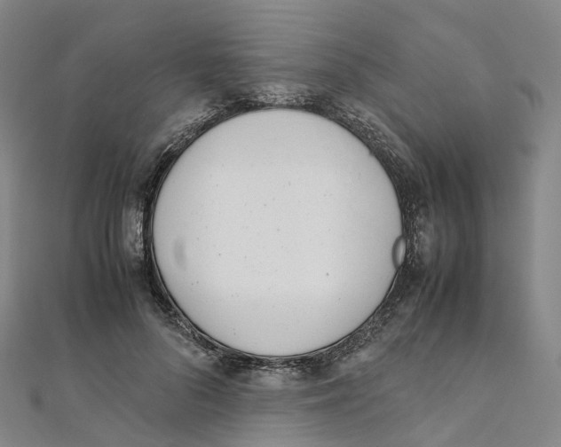 X0000111430696200908101116