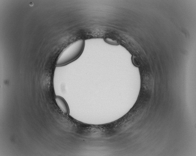 X0000111430697200908101116